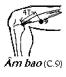 Huyệt Âm Bao
