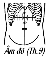 Huyệt Âm Đô