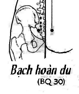 Huyệt Bạch Hoàn Du