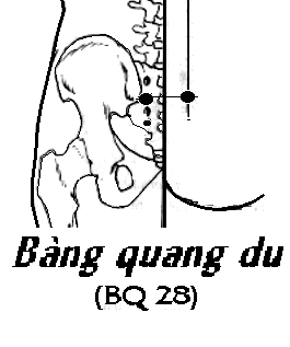 Huyệt Bàng Quang Du