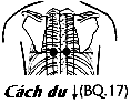 Huyệt Cách Du