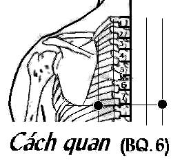 Huyệt Cách Quan