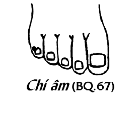 Huyệt Chí Âm