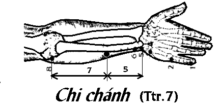 Huyệt Chi Chính