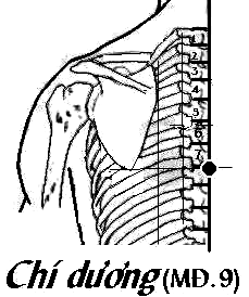 Huyệt Chí Dương