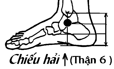 Huyệt Chiếu Hải
