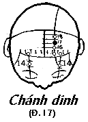 Huyệt Chính Dinh