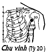 Huyệt Chu Vinh