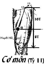 Huyệt Cơ Môn
