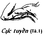 Huyệt Cực Tuyền