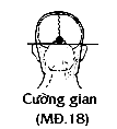 Huyệt Cường Gian
