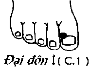 Huyệt Đại Đôn