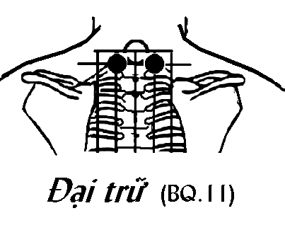 Huyệt Đại Trữ