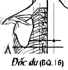 Huyệt Đốc Du