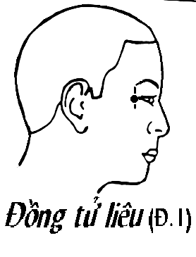 Huyệt Đổng Tử Liêu