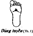 Huyệt Dũng Tuyền