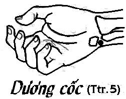 Huyệt Dương Cốc