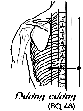 Huyệt Dương Cương