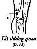 Huyệt Dương Quan