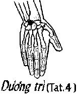 Huyệt Dương Trì
