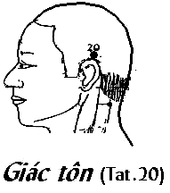Huyệt Giác Tôn