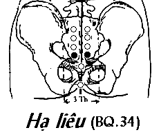 Huyệt Hạ Liêu
