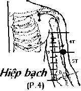 Huyệt Hiệp Bạch