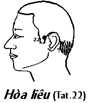 Huyệt Hòa Liêu