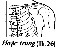 Huyệt Hoắc Trung
