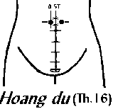 Huyệt Hoang Du