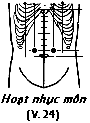 Huyệt Hoạt Nhục Môn