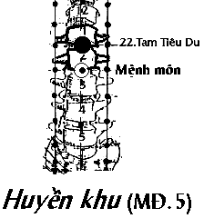Huyệt Huyền Khu