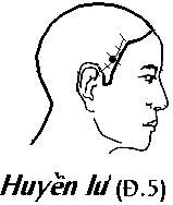 Huyệt Huyền Lư