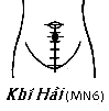 Huyệt Khí Hải
