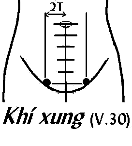 Huyệt Khí Xung