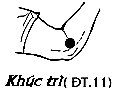 Huyệt Khúc Trì