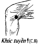 Huyệt Khúc Tuyền