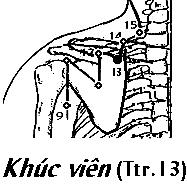 Huyệt Khúc Viên