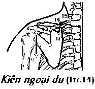 Huyệt Kiên Ngoại Du