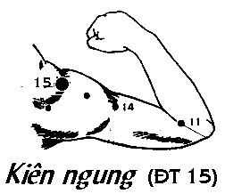 Huyệt Kiên Ngung