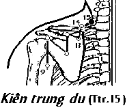 Huyệt Kiên Trung Du