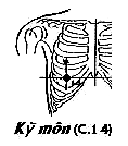 Huyệt Kỳ Môn
