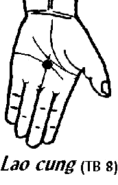 Huyệt Lao Cung
