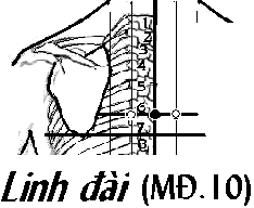Huyệt Linh Đài