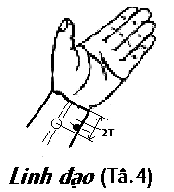 Huyệt Linh Đạo