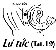 Huyệt Lư Tức