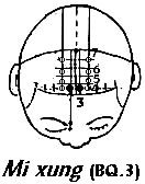 Huyệt Mi Xung