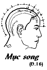 Huyệt Mục Song