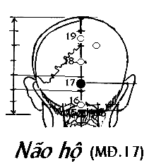 Huyệt Não Hộ