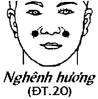 Huyệt Nghênh Hương